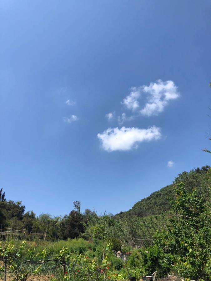 Villa Vasiliki Vitaládes 외부 사진